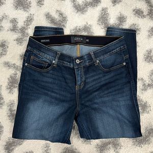 Torrid Bombshell Skinny - short